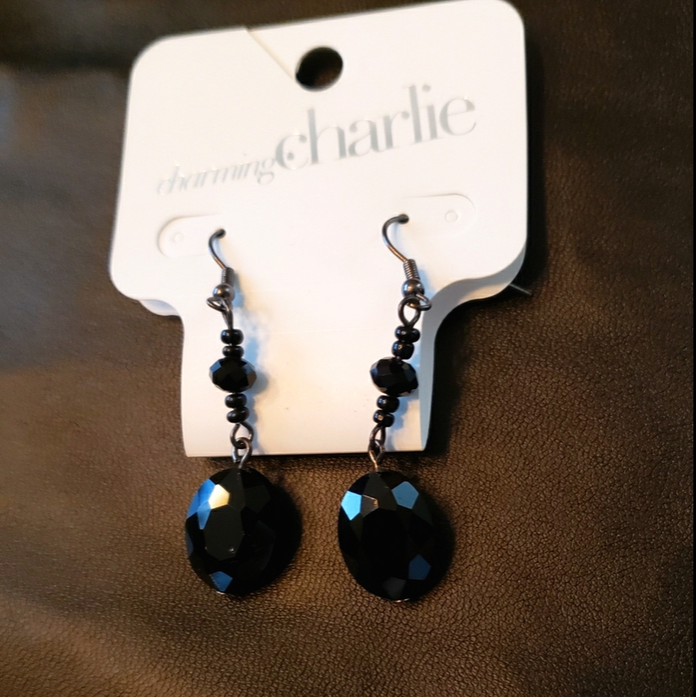 Jewelry earrings